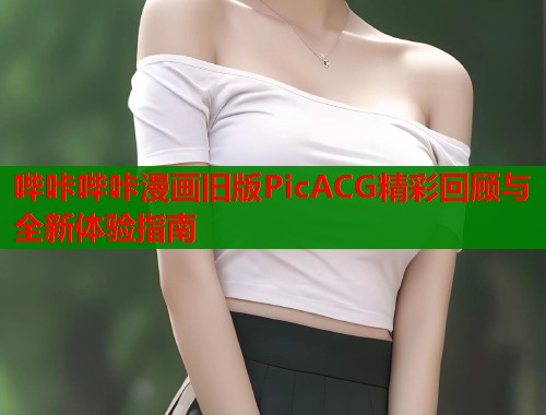 哔咔哔咔漫画旧版PicACG精彩回顾与全新体验指南