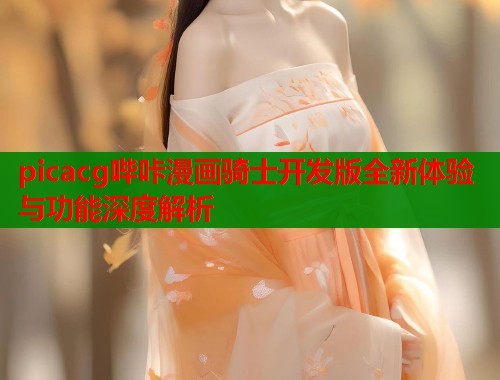 picacg哔咔漫画骑士开发版全新体验与功能深度解析  第2张